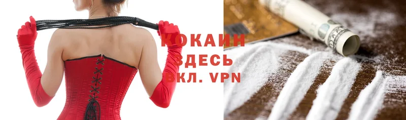 купить   Аксай  COCAIN VHQ 