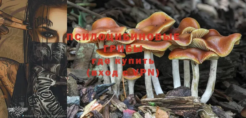 Галлюциногенные грибы Magic Shrooms  Аксай 